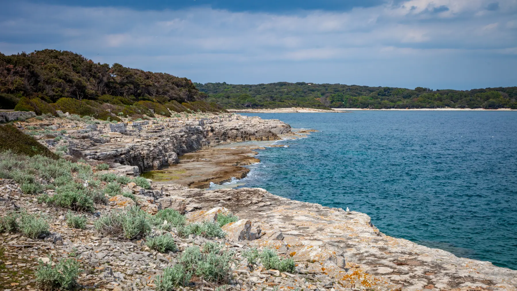 Felsküste und Meer im Nationalpark Brijuni vor Fažana, Istrien